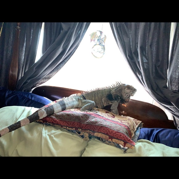 MY MANTRID - Picture 13 of 16